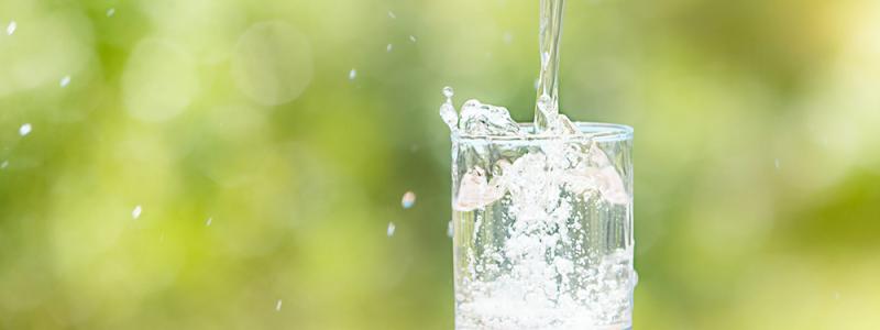 Från platta till pixel ska ge snabbare, digitala kvalitetskontroller av vatten. Foto: Sweden Water Research