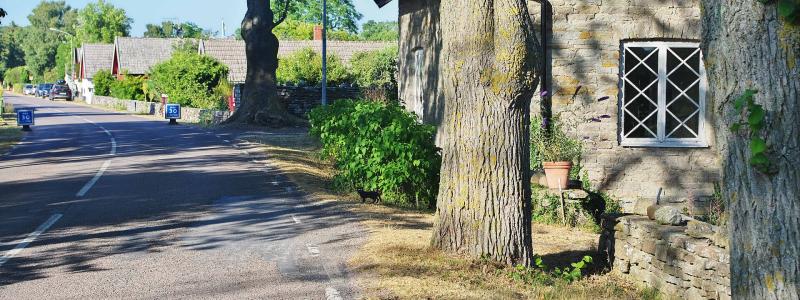 Näsby radby på södra Öland i Mörbylånga kommun. Foto: Nasko/https://commons.wikimedia.org/wiki/File:N%C3%A4sby,_%C3%96land_01.jpg?uselang=sv