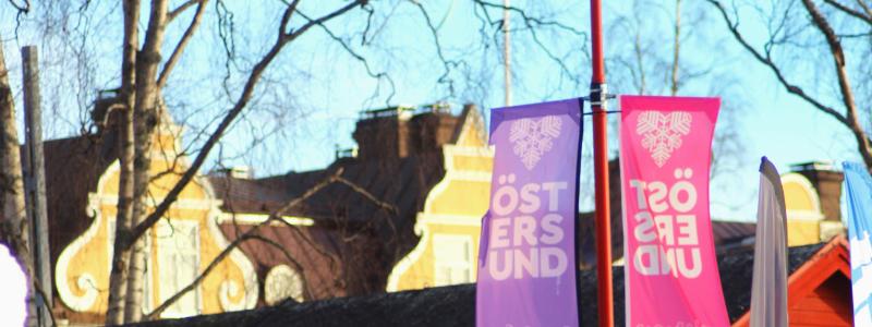 Utifrån granskningsrapporten beslutar Östersunds politiker att beställa en extern utredning ska genomföras för att se över kostnaderna. Foto: I Traore/Unsplash