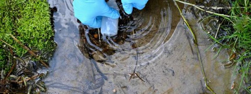 Här provtas grundvatten vid en av de stationer inom miljöövervakningssystemet som har ingått i SGU:s undersökning. Foto: Joel Häggqvist, SGU Foto: sgu