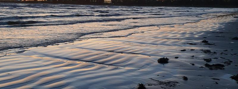 Östra stranden, Halmstad. Foto: Markus Luther/Unsplash