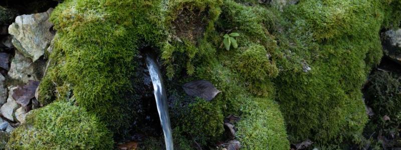 Det vattenlösliga PFAS-ämnet TFA har påträffats i grundvatten i stora delar av Europa. Foto: Kemikalieinspektionen