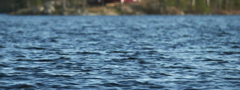 Dalarna Foto: Nils Söderman/Unsplash