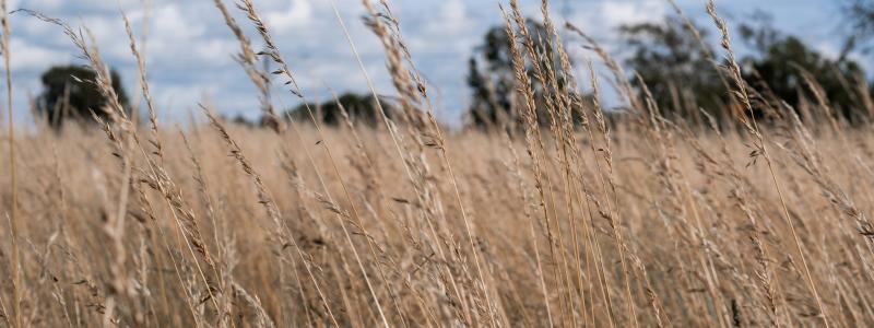Varberg Foto: Samuel Bryngelsson/Unsplash
