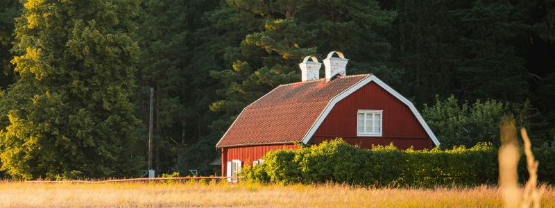 Hus i ett torrt vetefält Foto: Benoît Deschasaux/Unsplash
