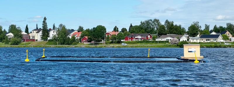 Svartbyträsket i Boden Foto: Luleå tekniska universitet