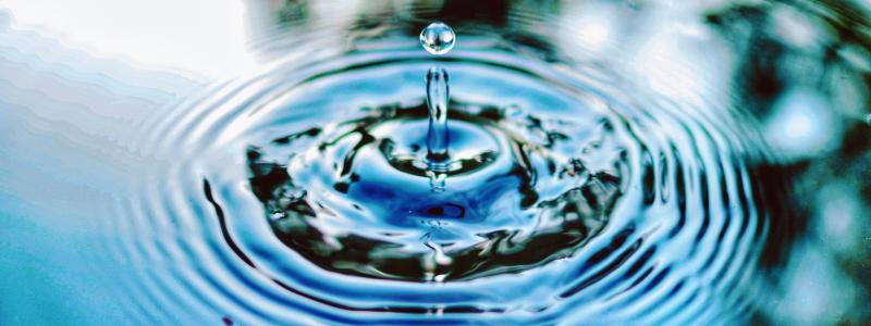 Foto:  jimmy chang /Unsplash