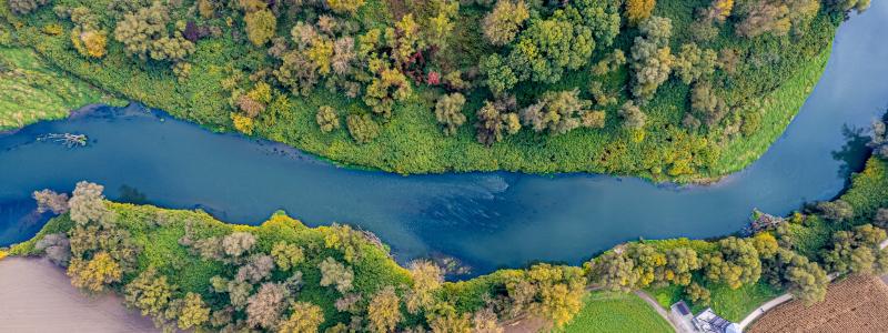 Floden Oder, Polen. Fri användning. Foto: AdobeStock, Franciszek