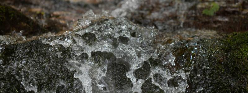 Testeboåns avrinningsområde ligger i Gävleborgs län, huvudsakligen inom Gävle kommun, men sträcker sig även in i delar av Ockelbo och Sandvikens kommuner. Foto: Sergio Zhukov/Unsplash