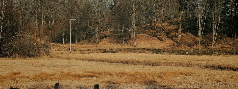 Torka kan även slå hårt mot odling och uppfödning av djur och minska tillgången till råvaror i nästa steg av livsmedelsproduktionen. Bild visar Dalsjöfors. Foto: Magnus Jonasson/Unsplash