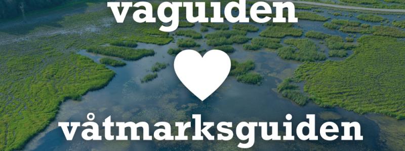 Idén till Våtmarksguiden kom från WRS och Sören Eriksson vid Hushållningssällskapet. Med webbtekniskt stöd från Bild & Kultur lanserades webbplatsen våtmarksguiden.se under 2013. Våtmarksguiden har sedan dess byggts upp genom flera projekt, med stöd från staten och EU-finansiering i olika omgångar. Bild: VA-guiden