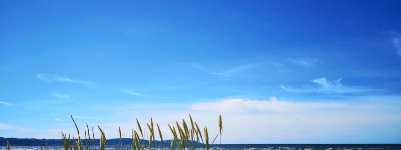 Skummeslövsstrand, Laholm. Foto: Henrik Jönsson/Unsplash