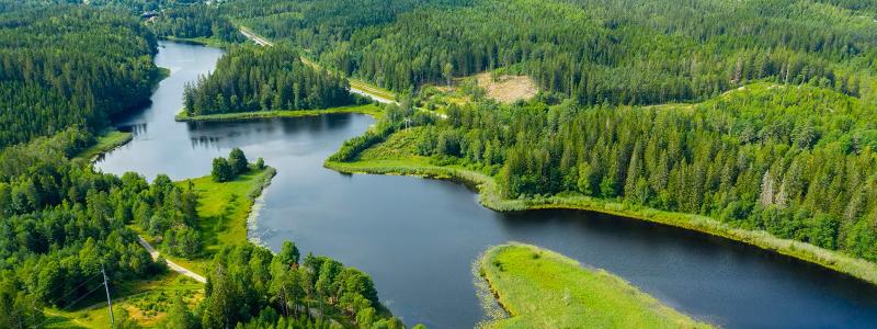 Viskans sediment är kraftigt förorenade, både från tidigare industrier i Borås och från brandövningar vid Guttasjön. Foto: Jan Kansanen, Mostphotos.
