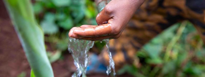 Rapporten visar att närmare tio hektar grundvatten försvinner för varje tusen hektar skog som avverkas. Foto: WaterAid / Frehiwot Gebrewold 