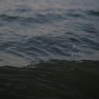126 kubikmeter orenat avloppsvatten beräknas ha runnit ut i marken. Foto: Mateusz Żochowski/Unsplash