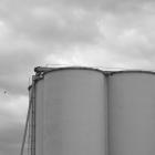 Bolaget genomför en riktad nyemission för att stärka expansionen inom bland annat beredskapsvatten. Foto: danny-burke/Unsplash