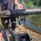 Foto: Christian Berner