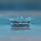 Decentraliserad gråvattenrening i fokus. Foto: Rånäs Bruk