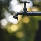 Hässleholm nära bevattningsförbud. Foto. Luis Tosta/Unsplash