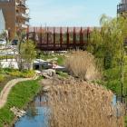 Tre av fyra svenskar oroar sig för exmtremoväder. Foto: White Arkitekter