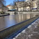 Faunapassager i Västerås. Foto: Susanna Hansen