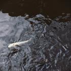 Genrebild: Redd Francisco/Unsplash