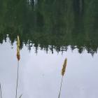 EU-krav på vattenmiljö i Natura 2000-områden ska analyseras. Foto: karsten klemme /Unsplash