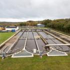 Viborgs centrala reningsverk på Jylland Foto: Anette Roien