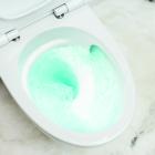 Den nya vägghängda toaletten. Foto: Geberit &Ifö