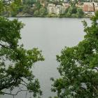 Mälaren. Foto: Margo Evardson/Unsplash