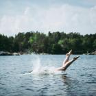 En ny metod som testats i Helsingborg och Malmö kan ge både snabbare och mer komplett svar på om doppet är säkert eller ej. Foto: Janosch Lino / Unsplash