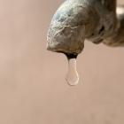 Det är ännu inte klarlagt om Storstockholms brandförsvar är den enda källan till utsläppen. Foto: kartikay sharma / unsplash