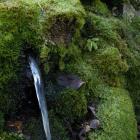 Det vattenlösliga PFAS-ämnet TFA har påträffats i grundvatten i stora delar av Europa. Foto: Kemikalieinspektionen