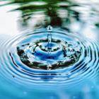 Foto:  jimmy chang /Unsplash