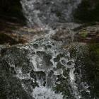 Testeboåns avrinningsområde ligger i Gävleborgs län, huvudsakligen inom Gävle kommun, men sträcker sig även in i delar av Ockelbo och Sandvikens kommuner. Foto: Sergio Zhukov/Unsplash