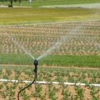 Bevattning av jordbruksmark. PFAS-ämnet TFA kan bildas från vissa växtskyddsmedel. Foto: Being Organic in EU/Unsplash
