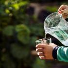Inför sommaren har några orter i Uppsala kommun låga grundvattennivåer. Det beror på att det under våren kom mindre nederbörd än normalt. I dagsläget är det inte aktuellt med något bevattningsförbud, men läget kan snabbt förändras om det blir varmt och vattenkonsumtionen ökar. Fotograf: Johan Bävman
