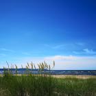 Skummeslövsstrand, Laholm. Foto: Henrik Jönsson/Unsplash