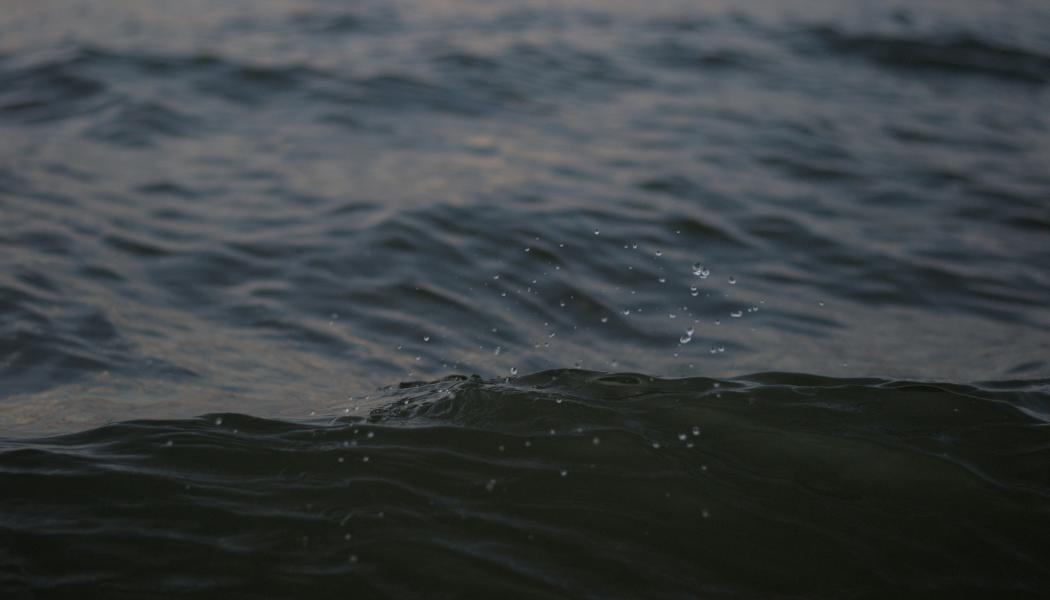126 kubikmeter orenat avloppsvatten beräknas ha runnit ut i marken. Foto: Mateusz Żochowski/Unsplash