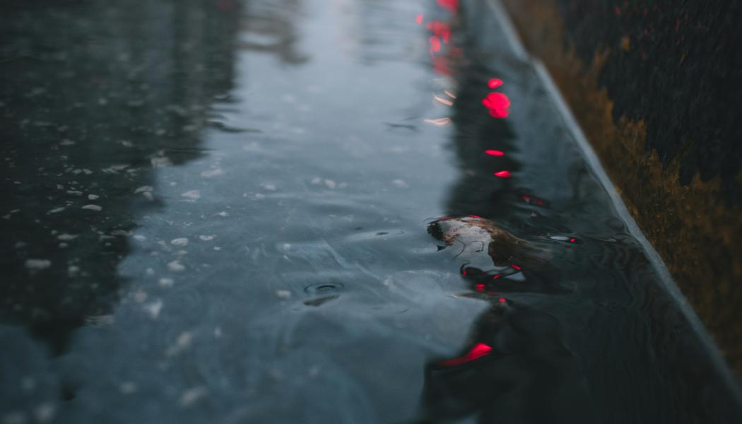 Årets dagvattnets dag fokuserar på det regn- och smältvatten som rinner på gator och kan föra med sig föroreningar och orsaka översvämningar. Foto: Arw Zero/Unsplash