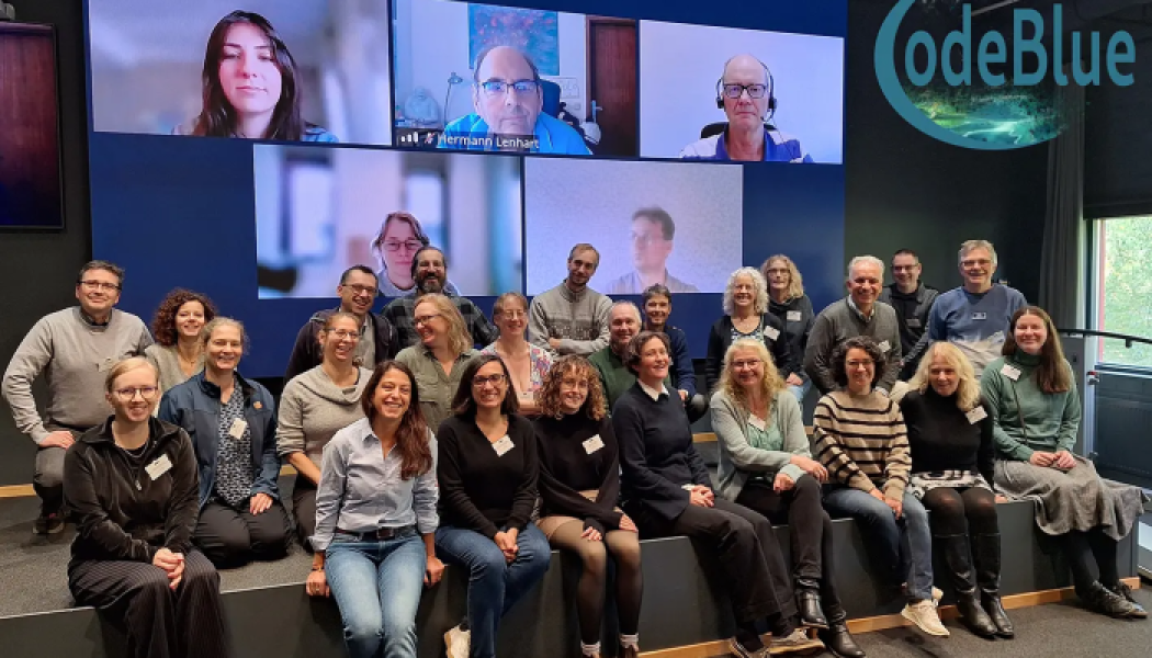 Den första stora workshopen med deltagare från 14 länder. Foto: CodeBlue