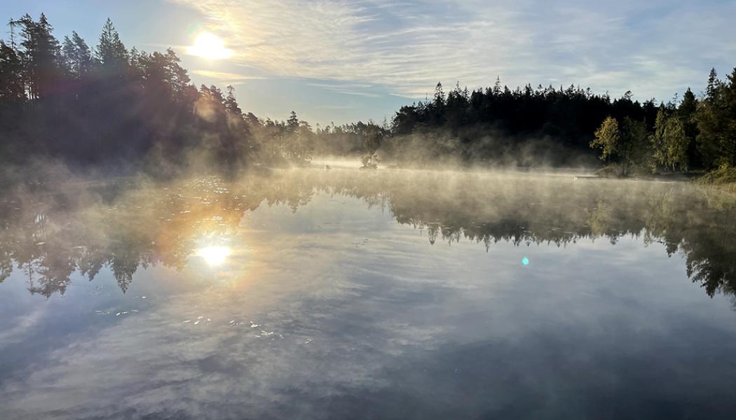 Nationell kvävebudget visar stora flöden till vatten Foto: Filip Moldan/IVL