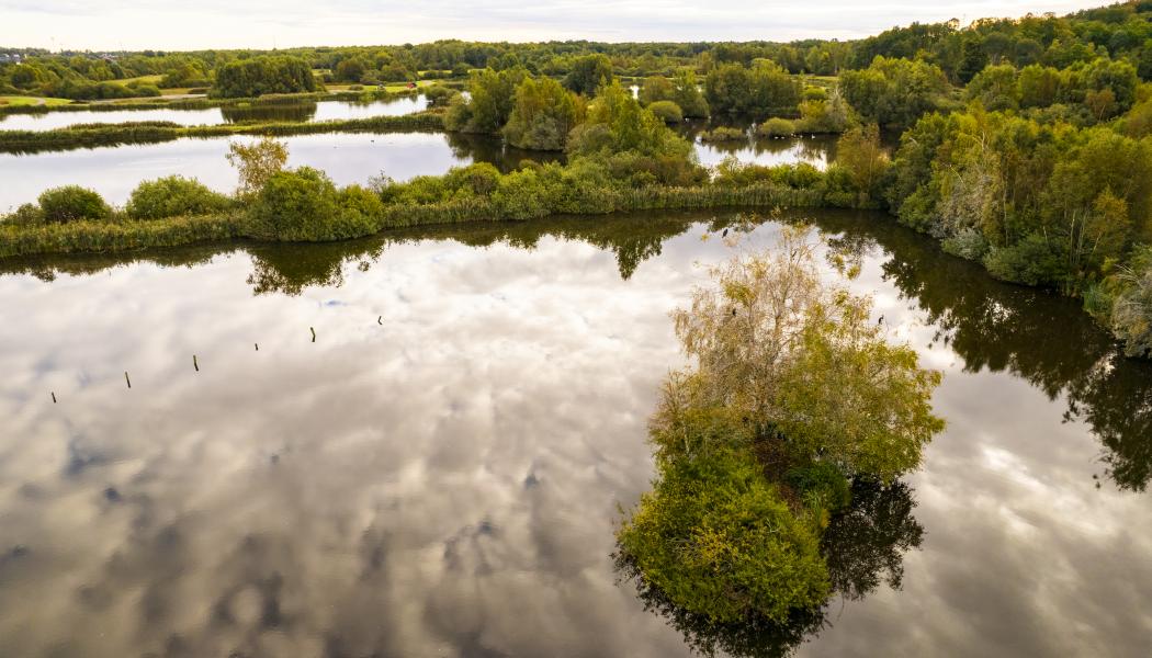 Återvunnet vatten från Magle våtmark kan nu ge liv åt stadens grönska, istället för att tekniska vattnar med dricksvatten. Foto: Hässleholm Miljö