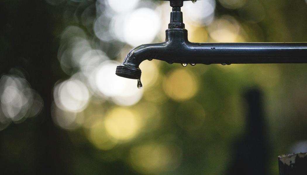 Hässleholm nära bevattningsförbud. Foto. Luis Tosta/Unsplash