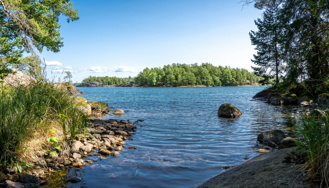 Askersund Foto: Gregor Scheithauer/Unsplash