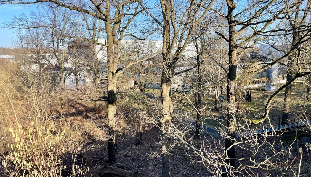 Bygget av den nya gula linjen – tunnelbanesträckan mellan Älvsjö och Fridhemsplan – prövas nu miljömässigt. En av stationerna planeras att byggas i anslutning till Stockholmsmässan. Foto: Stina Wickenberg