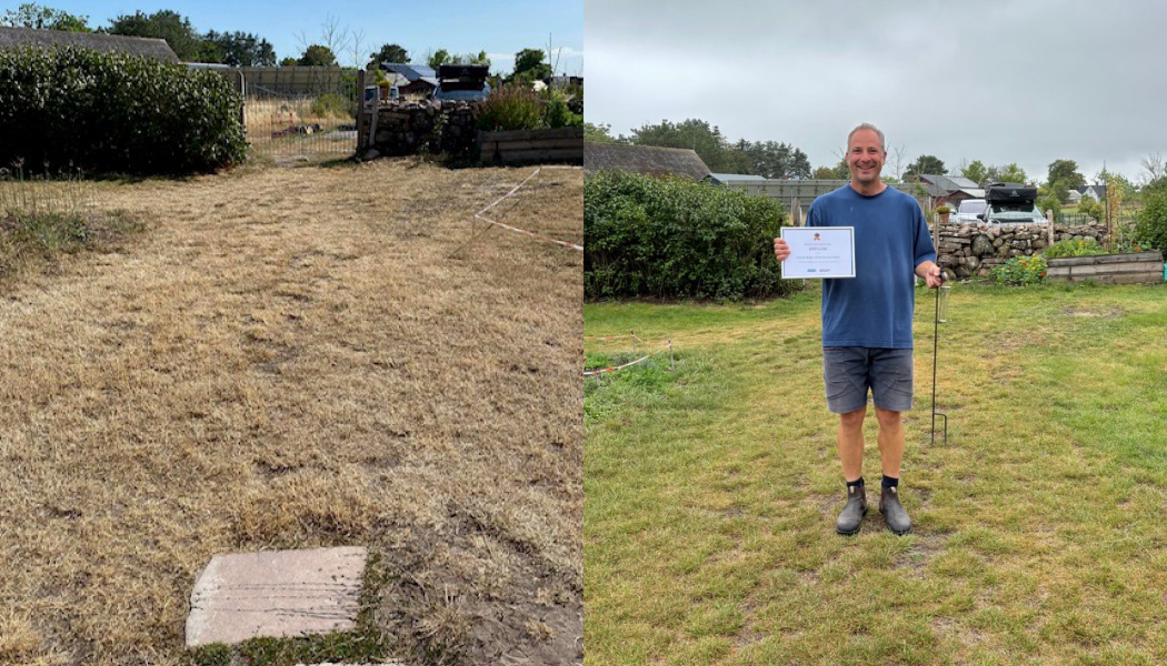 Uwe Deschenhalms gräsmatta lyste gult i solen. Fotograf/Källa: Uwe Deschenhalm