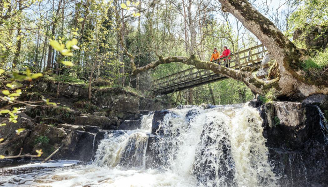 I Simrishamns kommun fördubblas befolkningen varje sommar. Över två miljoner besökare ökar trycket på vattenresurserna just när grundvattennivåerna är som lägst. Effekterna märks genom att begränsningar i vattenanvändning påverkar alla. Foto: Apelöga