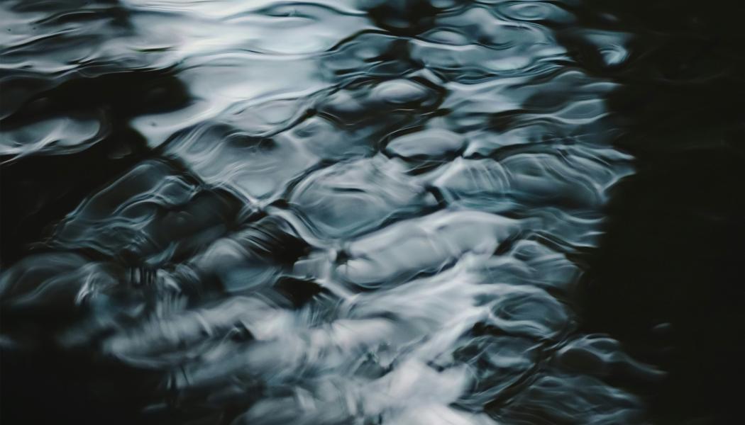 Derome Timber AB yrkar att tillståndet ska få tas i anspråk omedelbart även om det överklagas. Foto: niranjan/Unsplash