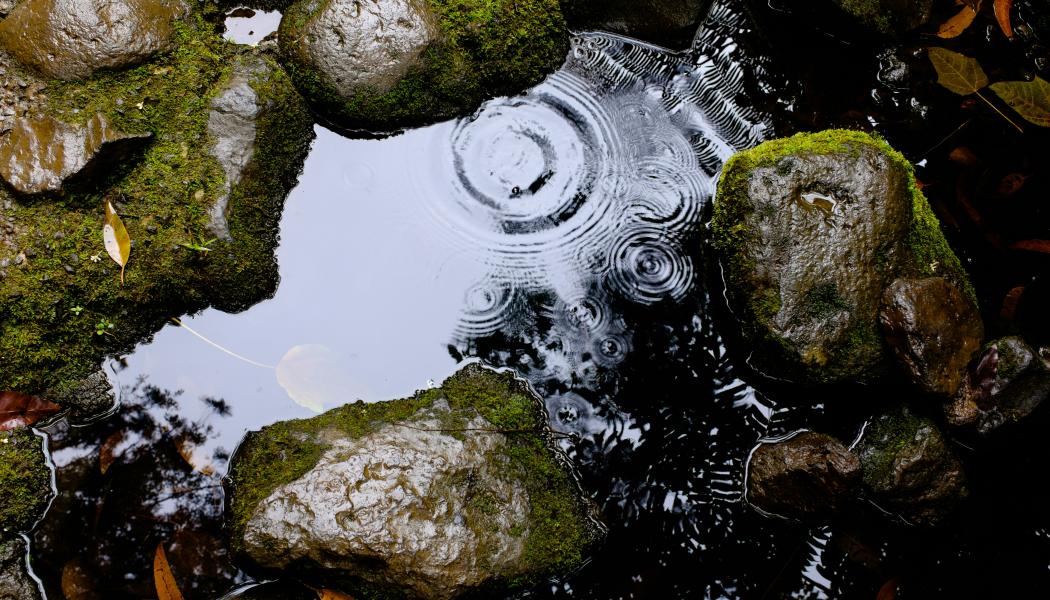 Utsläppet ska ha skett i närheten av Harsagården Foto: Luca Bravo/Unsplash